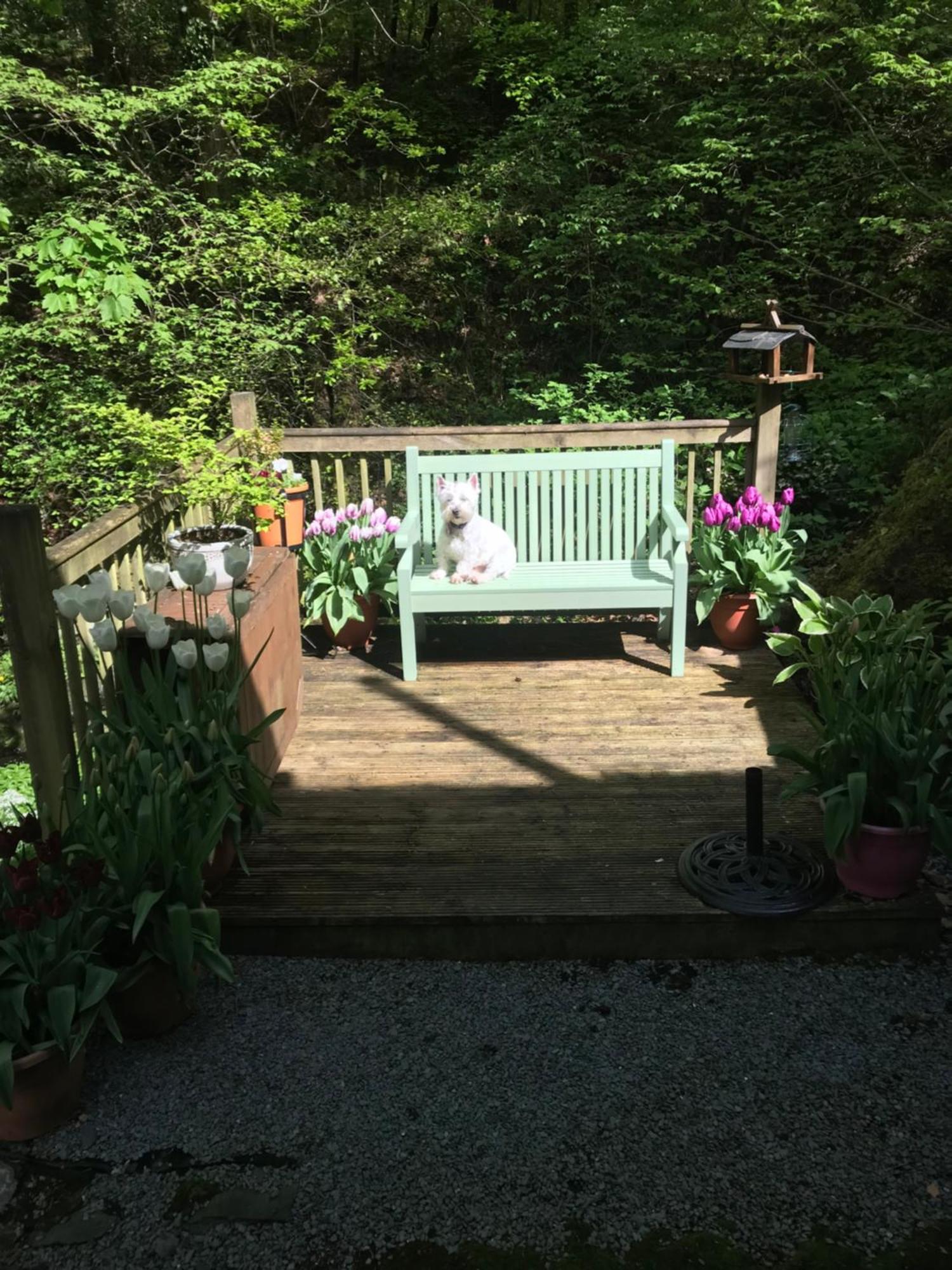 Stockghyll Cottage โบว์เนส ออน วินเดอเมียร์ ภายนอก รูปภาพ